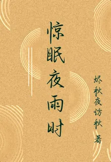 驚眠夜雨時 封面