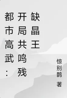 都市高武：開局共鳴殘缺晶王 封面