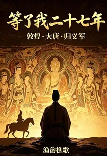 等了我二十七年 封面