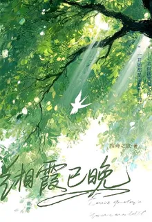 緗霞已晚 封面