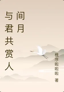 與君共賞人間月 封面