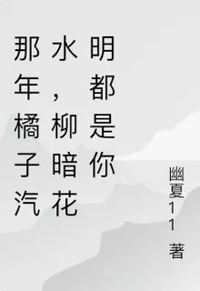 那年橘子汽水，柳暗花明都是你 封面