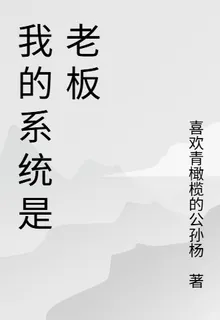 我的系統是老闆 封面