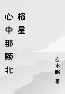 心中那顆北極星 封面