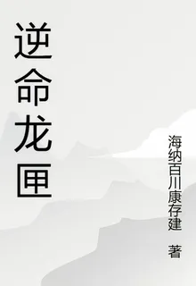 逆命龍匣 封面