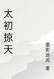 太初掠天 封面