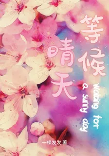 等候晴天 封面
