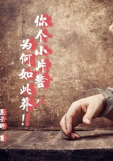 你個小片警，爲何如此莽！ 封面