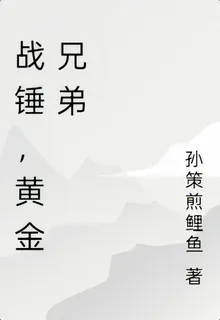 戰錘，黃金兄弟 封面
