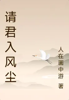 請君入風塵 封面