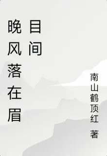 晚風落在眉目間 封面