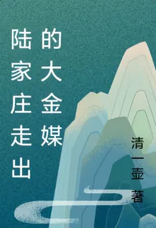 陸家莊走出的大金媒 封面