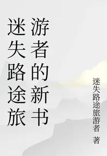 迷失路途 封面