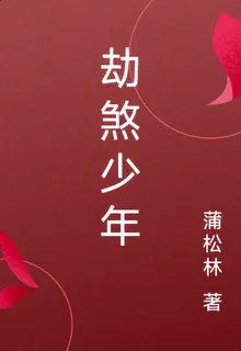 劫煞少年 封面
