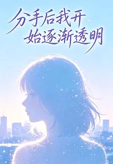分手後我開始逐漸透明 封面