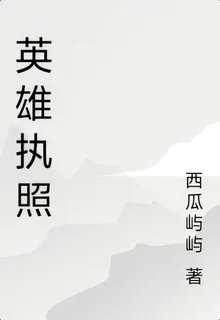 英雄執照 封面