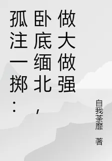 孤注一擲：臥底緬北，做大做強 封面