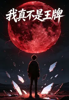 我真不是王牌！ 封面