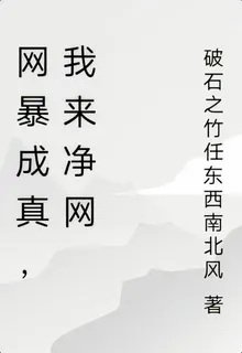 網暴成真，我來淨網 封面