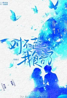對不起我失言了 封面