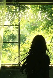 我在等我的夏天 封面