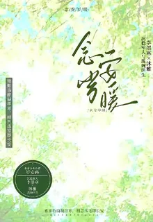 念安歲暖 封面