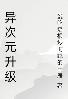 異次元升級 封面
