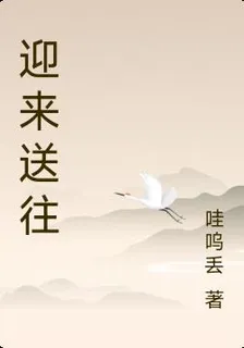 迎來送往 封面