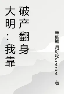 大明：我靠破產翻身 封面
