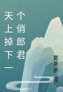 天上掉下一個俏郎君 封面