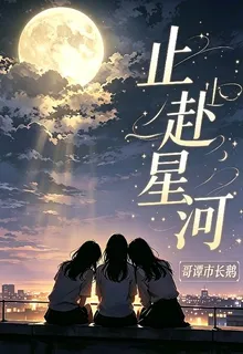 止赴星河 封面