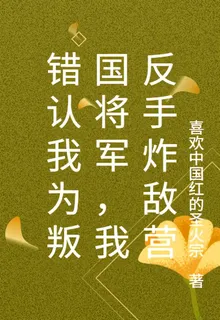 錯認我爲叛國將軍，我反手炸敵營 封面