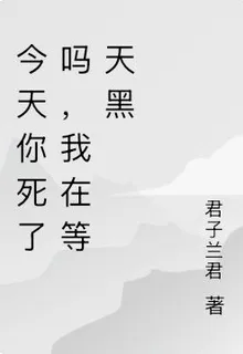 今天你死了嗎，我在等天黑 封面