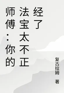 師傅：你的法寶太不正經了 封面