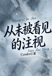 從未被看見的注視 封面