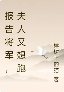 報告將軍，夫人又想跑 封面