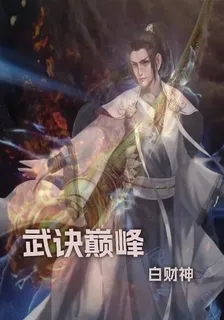 武訣巔峯 封面
