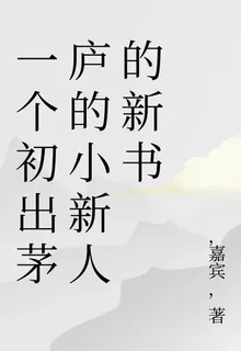 一個初出茅廬的小新人的新書 封面