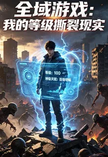 全域遊戲：我的等級撕裂現實 封面
