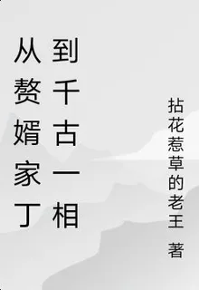 從贅婿家丁到千古一相 封面