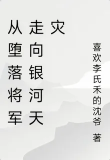 從墮落將軍走向銀河天災 封面