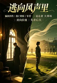 逃向風聲裏 封面