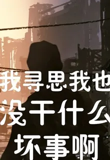 我尋思我也沒幹什麼壞事啊 封面