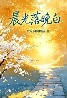晨光落晚白 封面