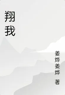 翔我 封面