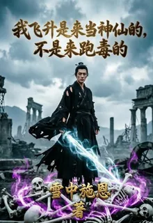我飛昇是來當神仙的，不是跑毒的 封面