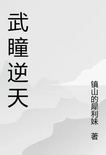 武瞳逆天 封面