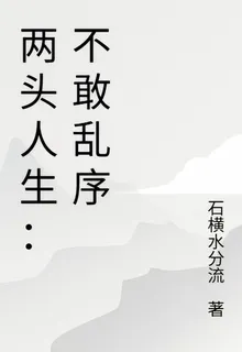 兩頭人生：不敢亂序 封面