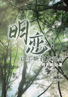 明戀：這次換我來追你 封面