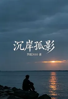沉岸孤影 封面